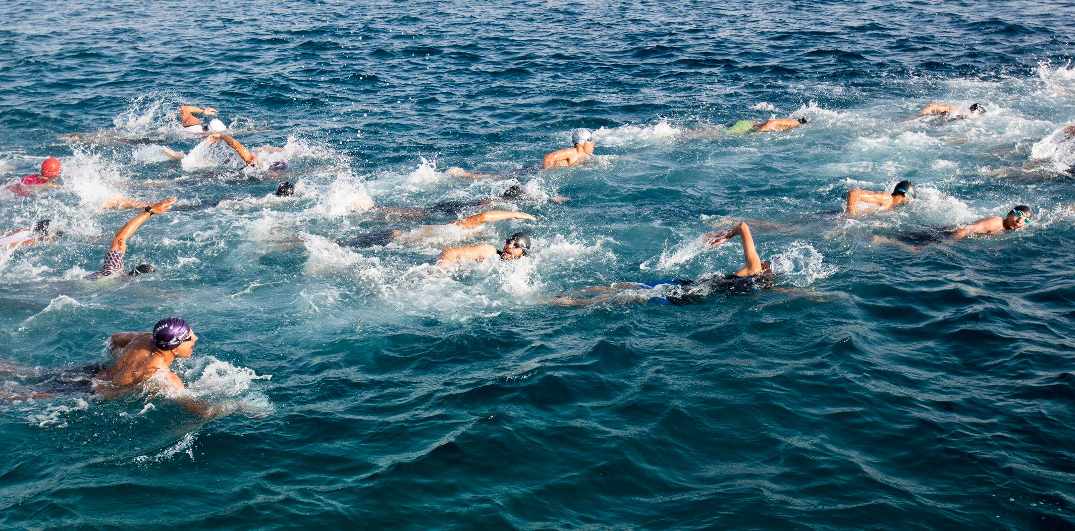 494666509 2516878965333315 553842514806365312 n