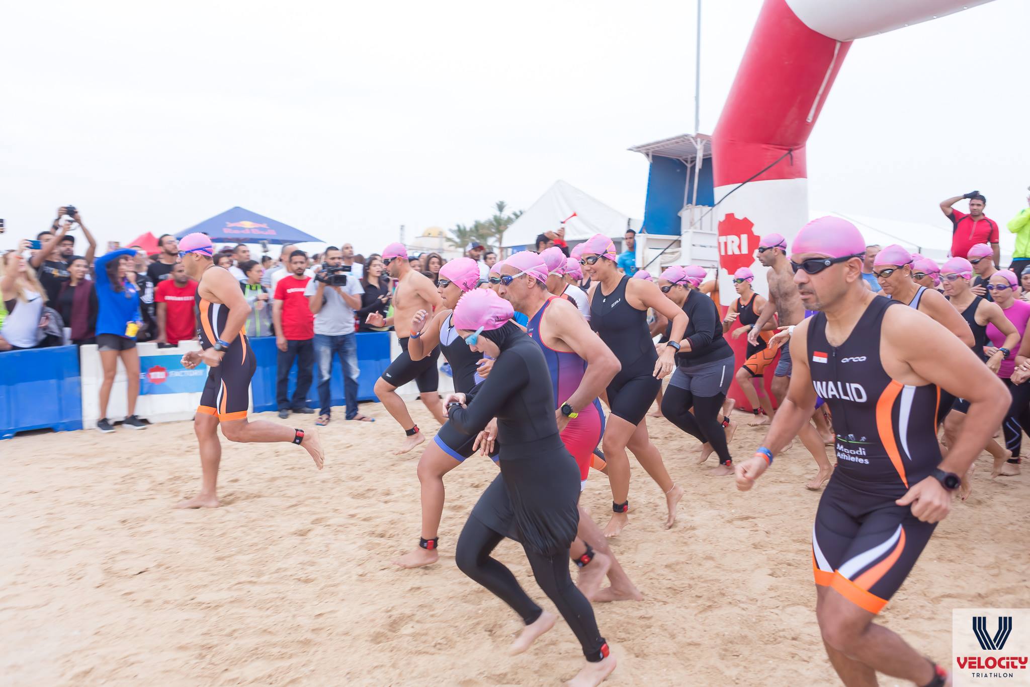 496803533 2527703260917552 5556338468296970014 n